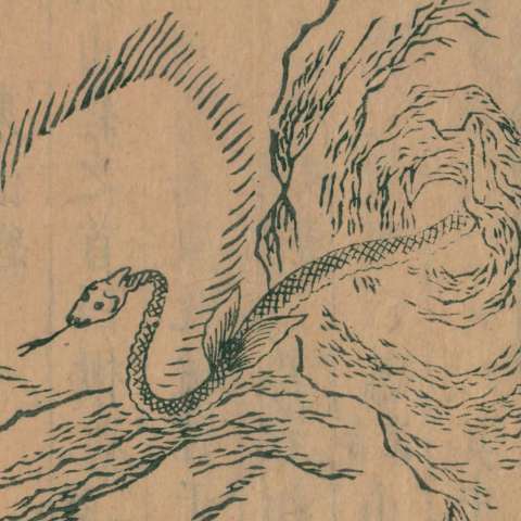 {x27301}䗤の画像[1]サムネイル