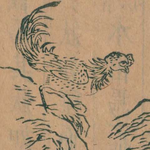 䖪鼠の画像[1]サムネイル