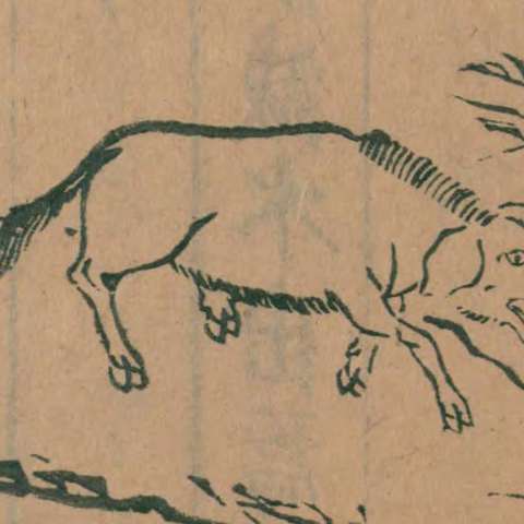 山海經の画像[8]サムネイル