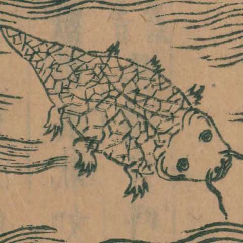 珠蟞魚の画像[1]サムネイル