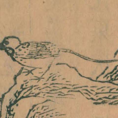 絜鉤の画像[1]サムネイル