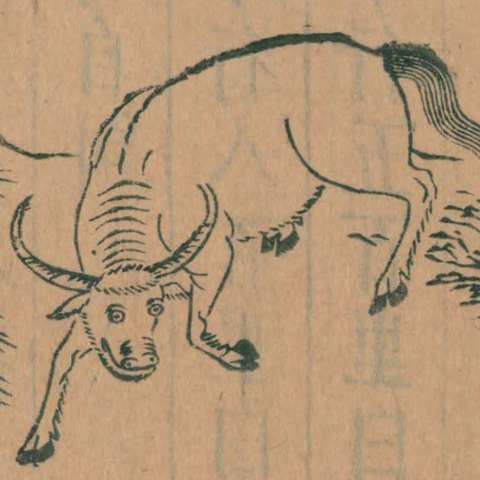 山海經の画像[20]サムネイル