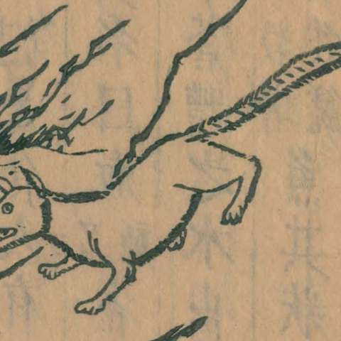 猲狙の画像[1]サムネイル