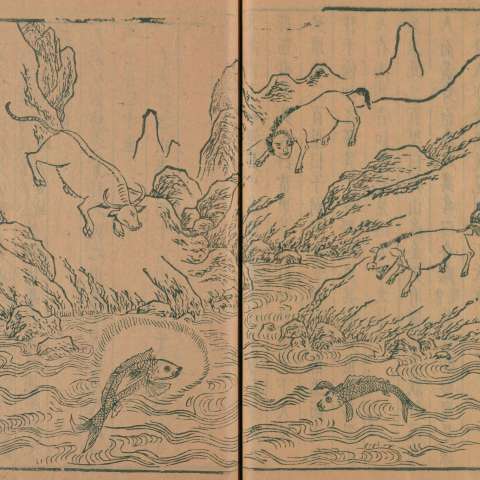 山海經の画像[29]サムネイル