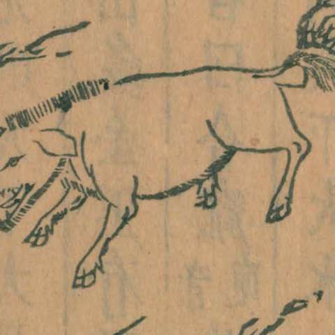 当康の画像[1]サムネイル