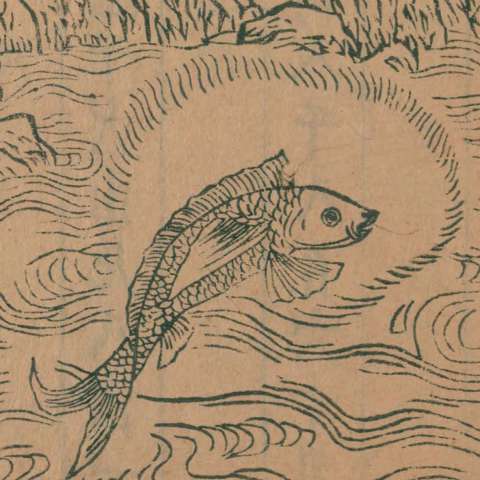 䱻魚の画像[1]サムネイル