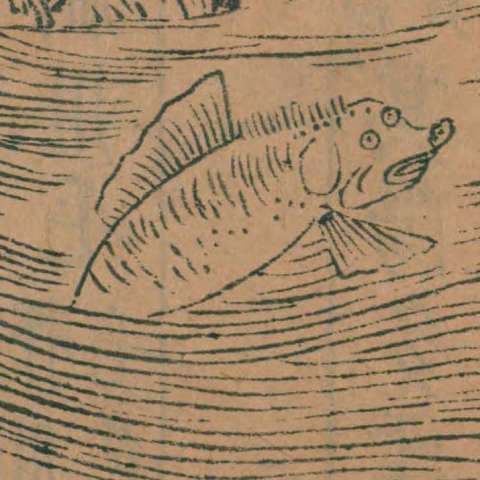 山海經の画像[14]サムネイル