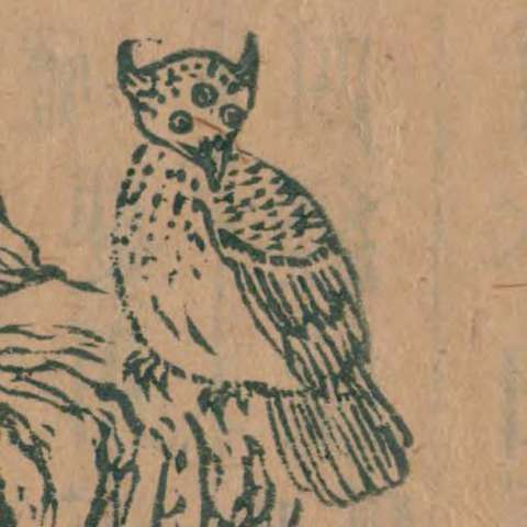 䲦鳥の画像[1]サムネイル