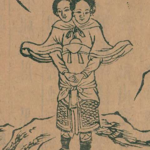 驕虫の画像[1]サムネイル