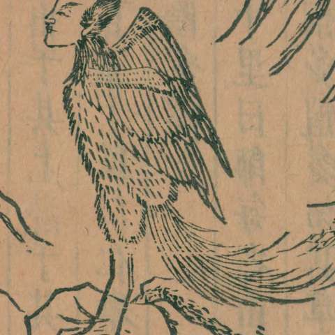 "鳥身人面神"の画像[1]サムネイル
