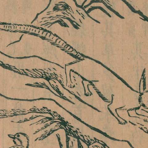 {x24723}狼の画像[1]サムネイル