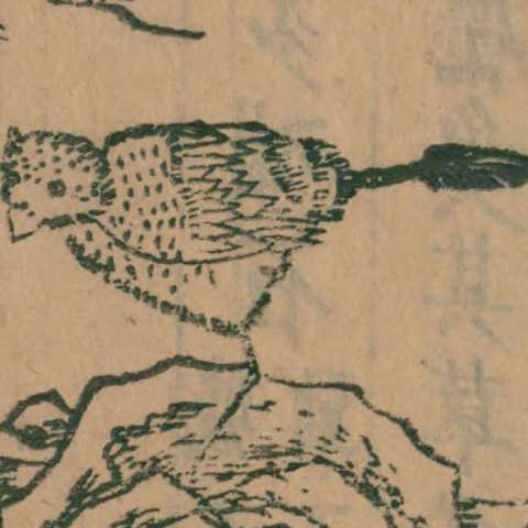 跂踵の画像[1]サムネイル