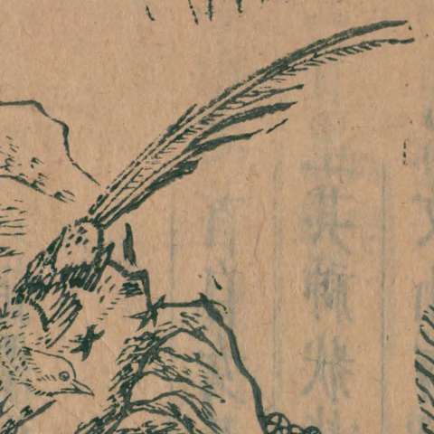 山海經の画像[46]サムネイル