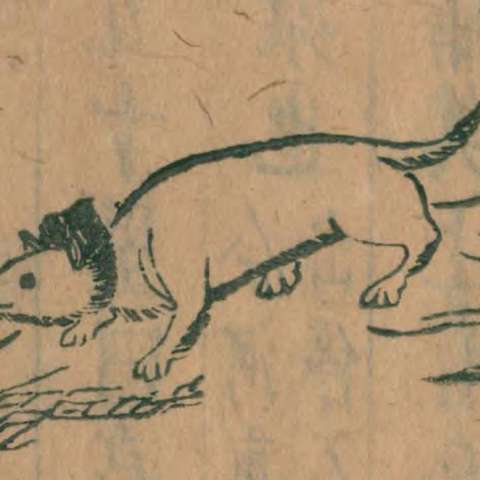 狙如の画像[1]サムネイル