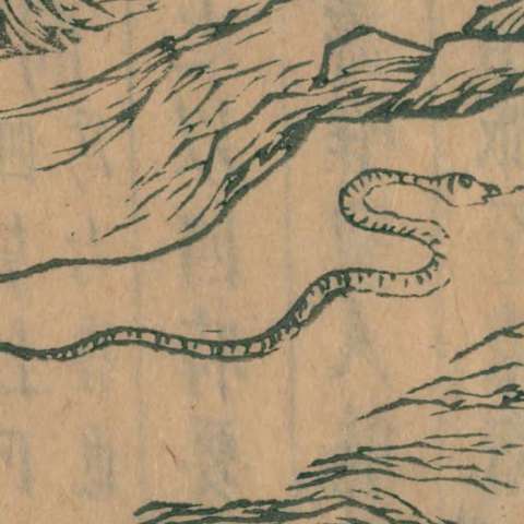 山海經の画像[3]サムネイル