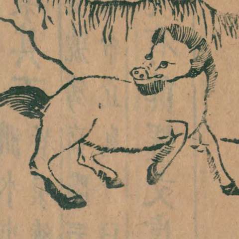 山海經の画像[13]サムネイル