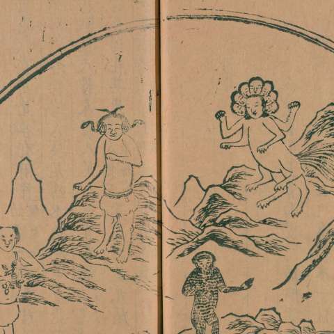 {x2722B}{x2722B}の画像[1]サムネイル