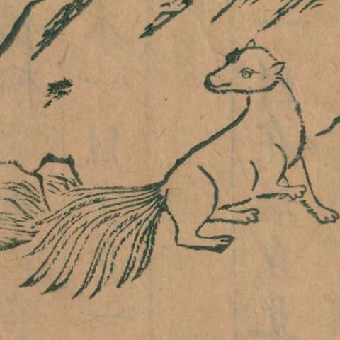 九尾の狐の画像[6]サムネイル
