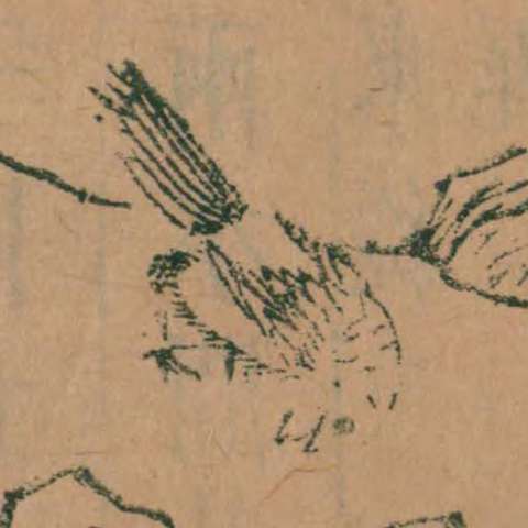 山海經の画像[8]サムネイル