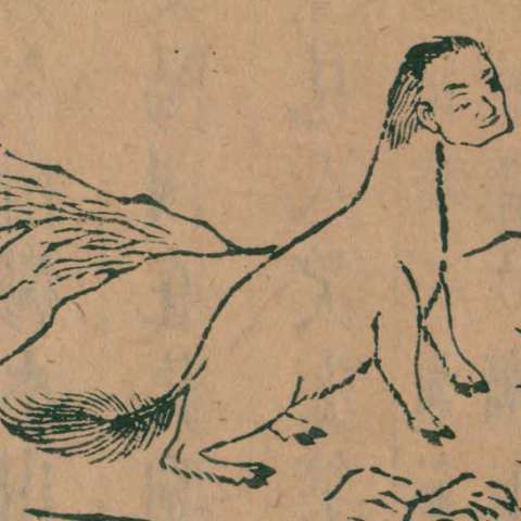 猩猩の画像[4]サムネイル