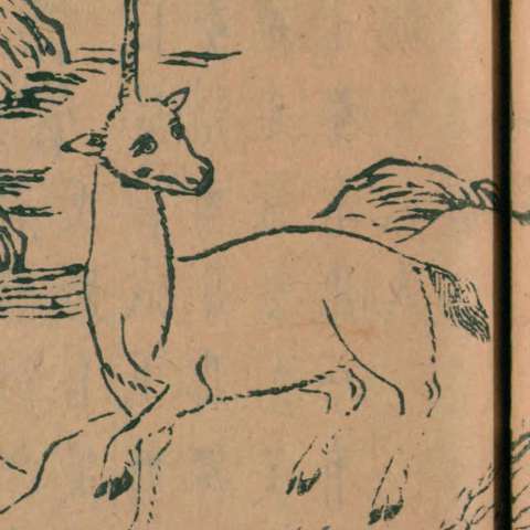 兕の画像[1]サムネイル