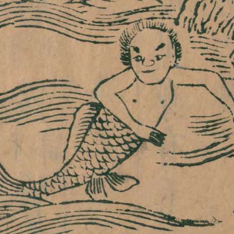 氐人の画像[3]サムネイル