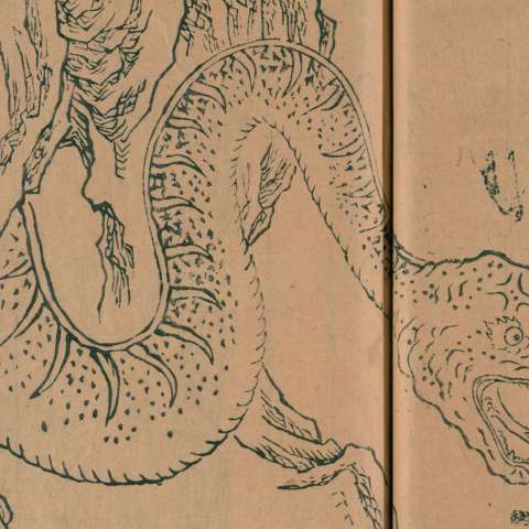 巴蛇の画像[1]サムネイル