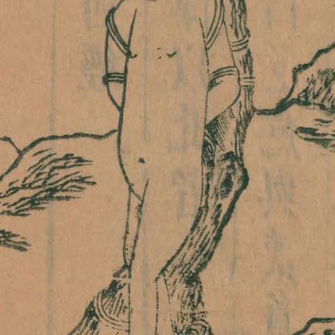 危の画像[1]サムネイル