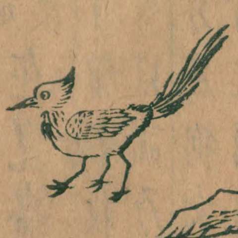 三青鳥の画像[2]サムネイル