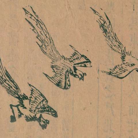 三青鳥の画像[1]サムネイル