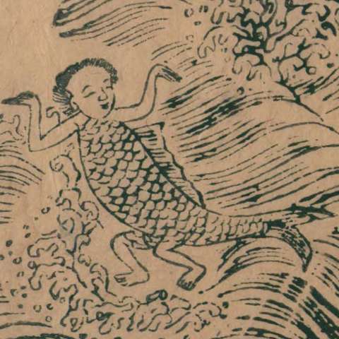 陵魚の画像[1]サムネイル