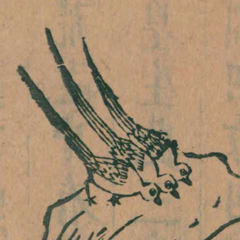 双双の画像[1]サムネイル