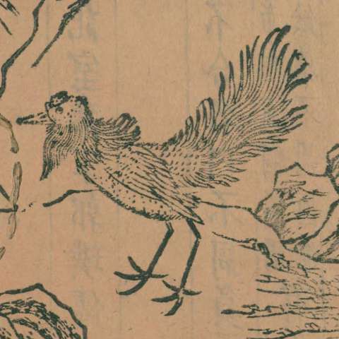 山海經の画像[4]サムネイル