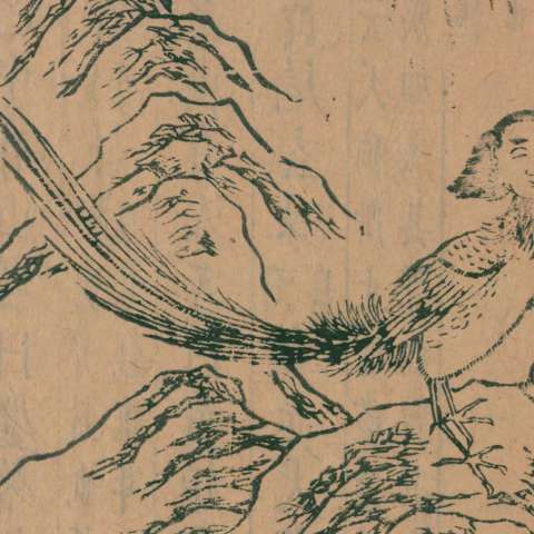 山海經の画像[10]サムネイル