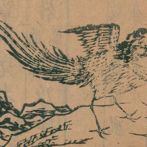 {x2A1C6}鳥の画像[1]サムネイル