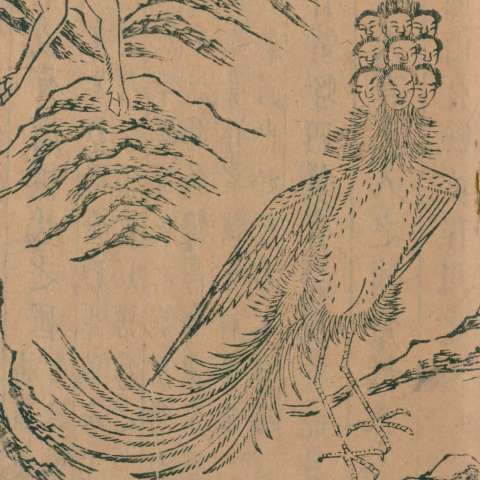 九鳳の画像[1]サムネイル