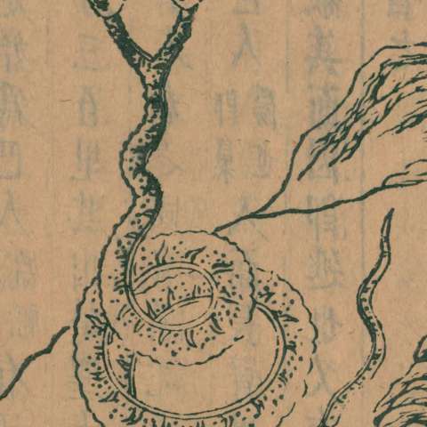 山海經の画像[7]サムネイル