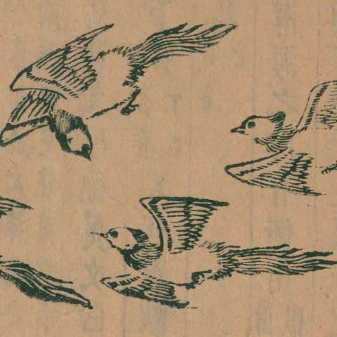 山海經の画像[9]サムネイル