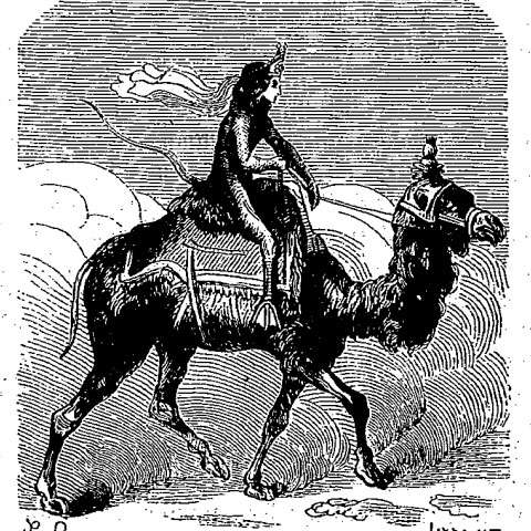 パイモンの画像[1]サムネイル