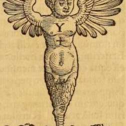 ラヴェンナ・モンスターの画像[2]サムネイル