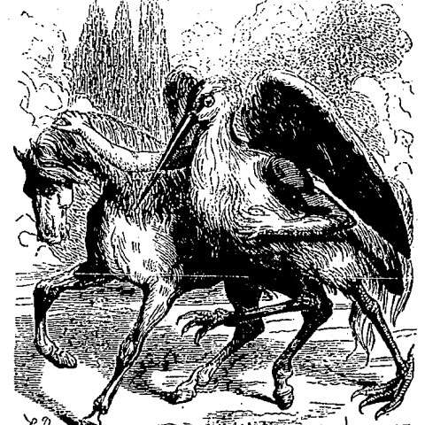 シャックスの画像[1]サムネイル