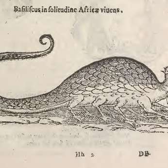 バシリスクの画像[1]サムネイル