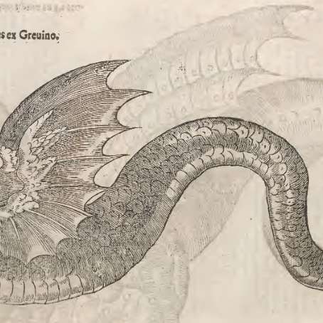 蛇とドラゴンの博物誌の画像[8]サムネイル