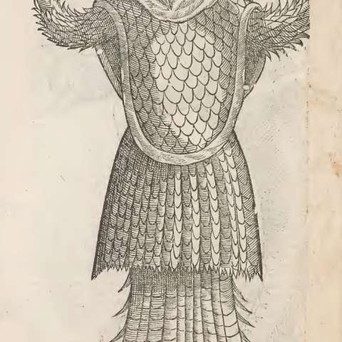 シービショップの画像[1]サムネイル