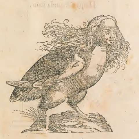 怪物誌の画像[4]サムネイル