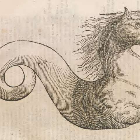 怪物誌の画像[8]サムネイル