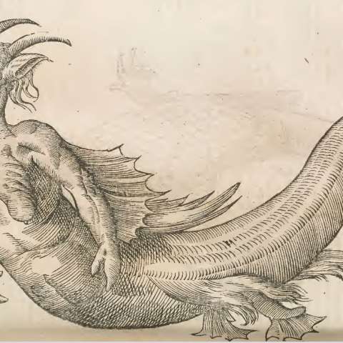 怪物誌の画像[9]サムネイル