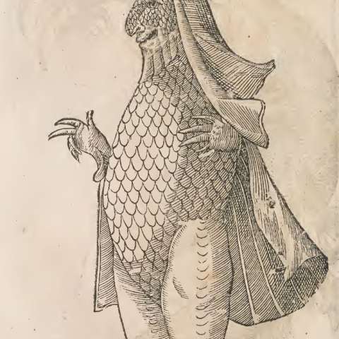 シービショップの画像[2]サムネイル