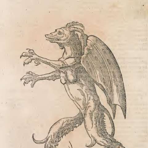 怪物誌の画像[11]サムネイル