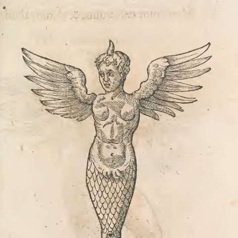 ラヴェンナ・モンスターの画像[1]サムネイル